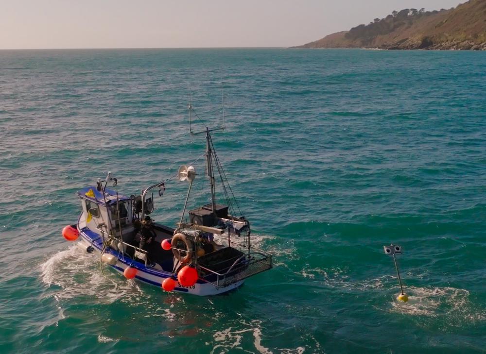 Floating Scarecrows: How Cornish Fishers Save Seabirds from Nets