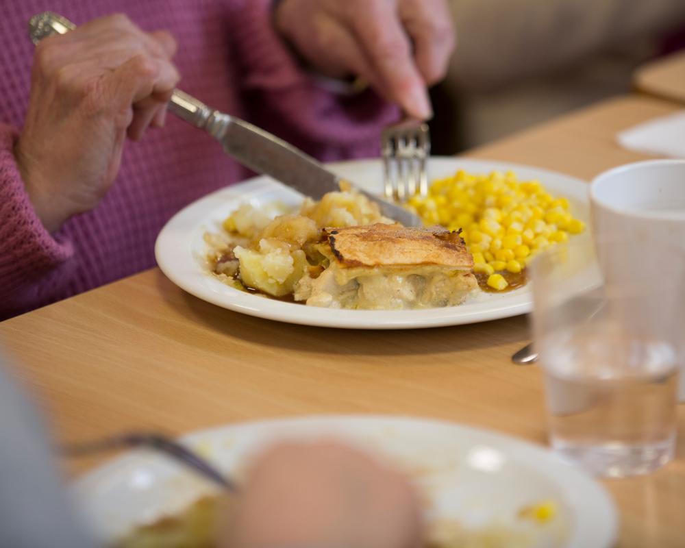Time-Restricted Eating May Reduce Cognitive Decline in Seniors