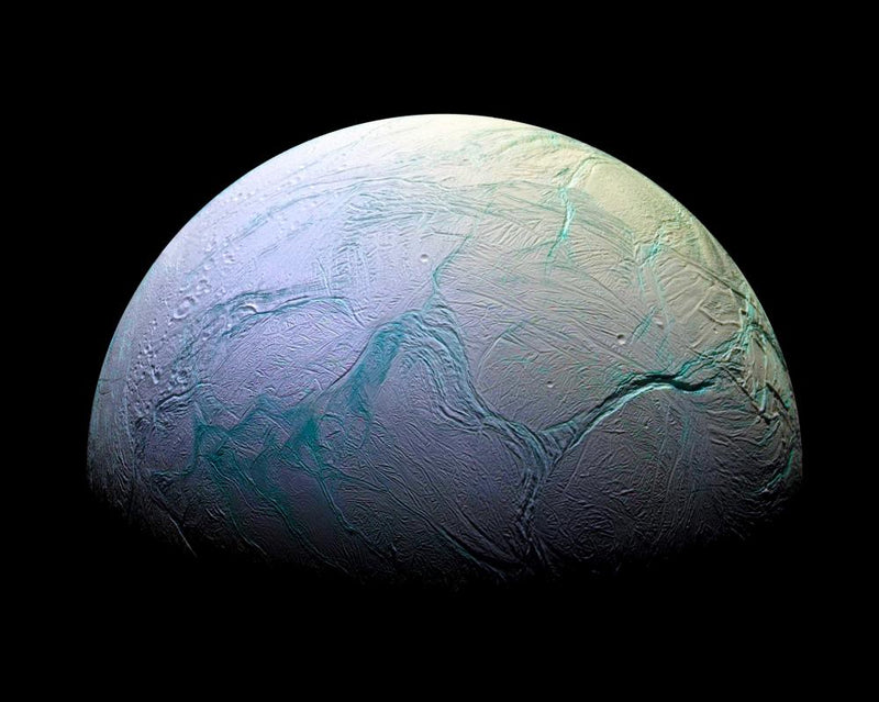 Enceladus Habitability Boosted by Earth Microbes Survival
