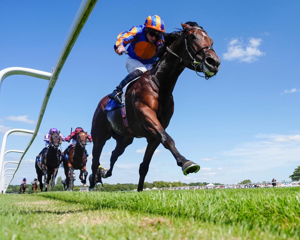 Champions Day 2023: Balding vs O'Brien for Flat Season Glory