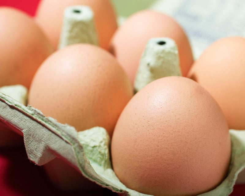 One person dead and more than 200 ill in UK salmonella outbreak