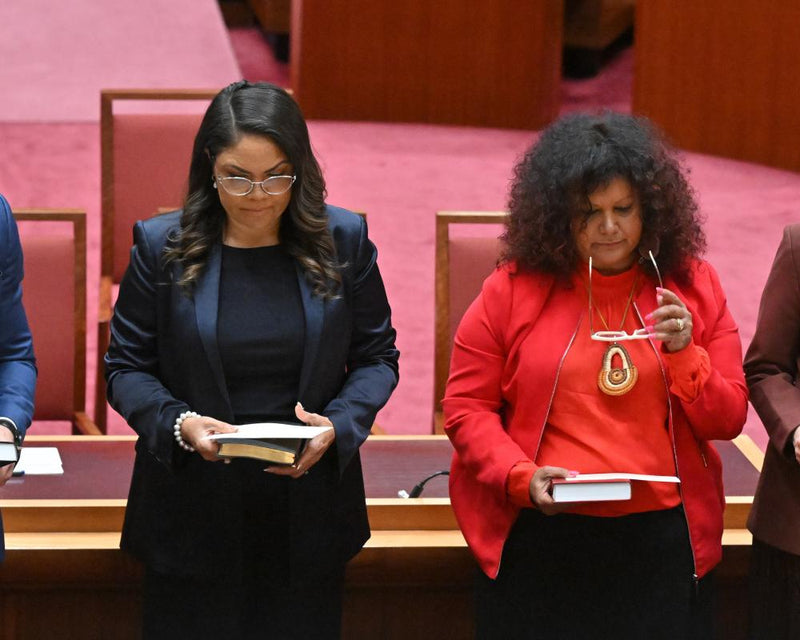 Pauline Hanson's Indigenous Comments Condemned as Nasty and Derogatory