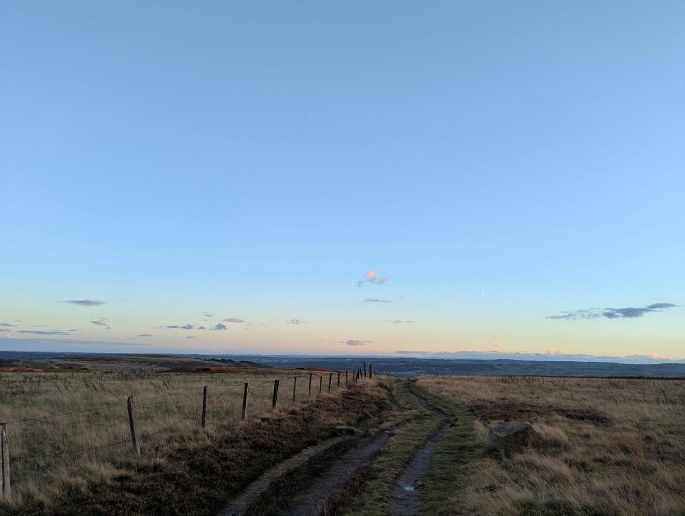 Jackdaw Roost at Dusk: Nature's Spectacle on the Moors