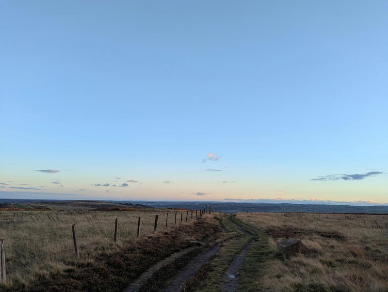 Jackdaw Roost at Dusk: Nature's Spectacle on the Moors