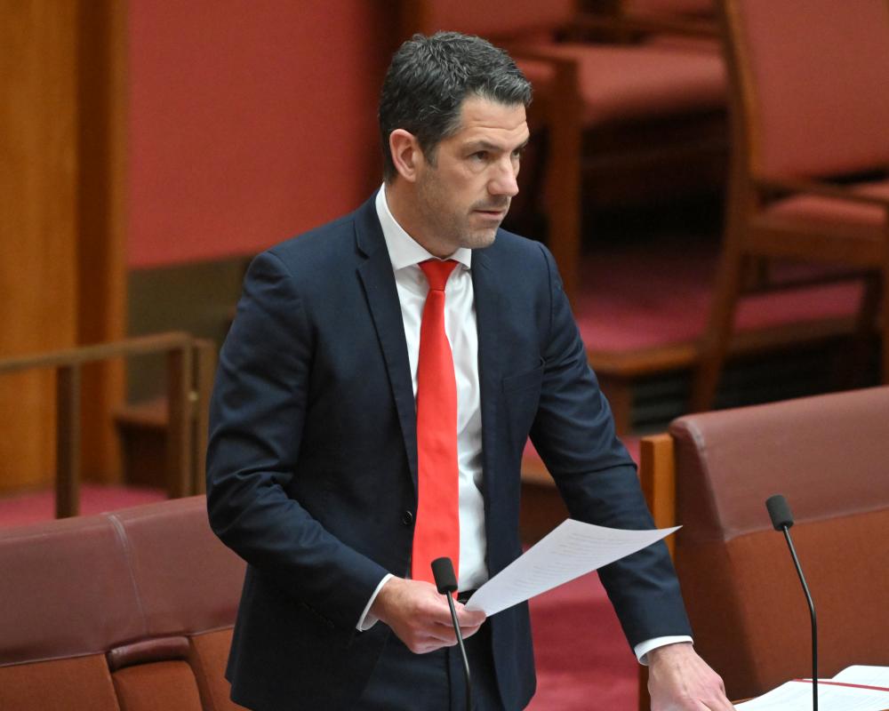 Alex Antic's SA Liberal Rise Sparks Party Vote Collapse Fears