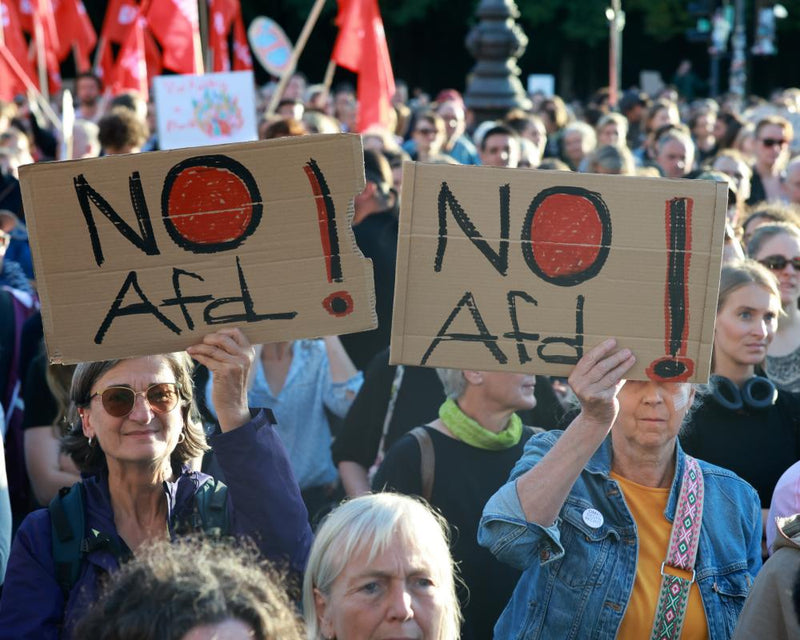 Anti-AfD Protests Sweep Germany as Far Right Gains Ground