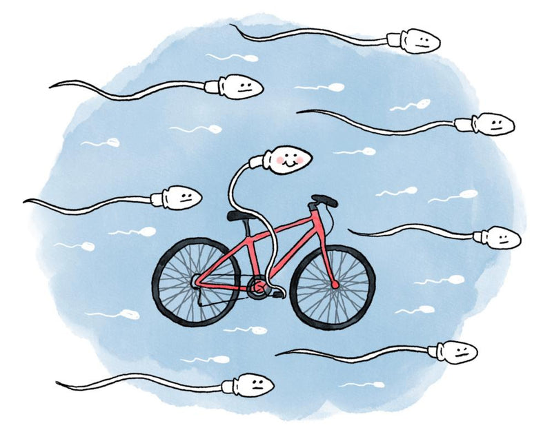 Cycling and Fertility: Does Biking Affect Sperm and Ovulation