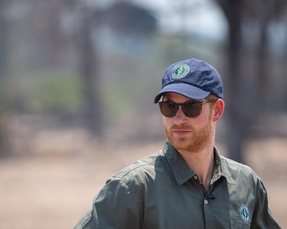 Prince Harry Quits Wildlife Charity Board Amid Human Rights Abuses