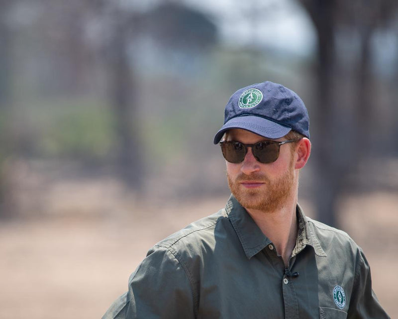 Prince Harry Quits Wildlife Charity Board Amid Human Rights Abuses