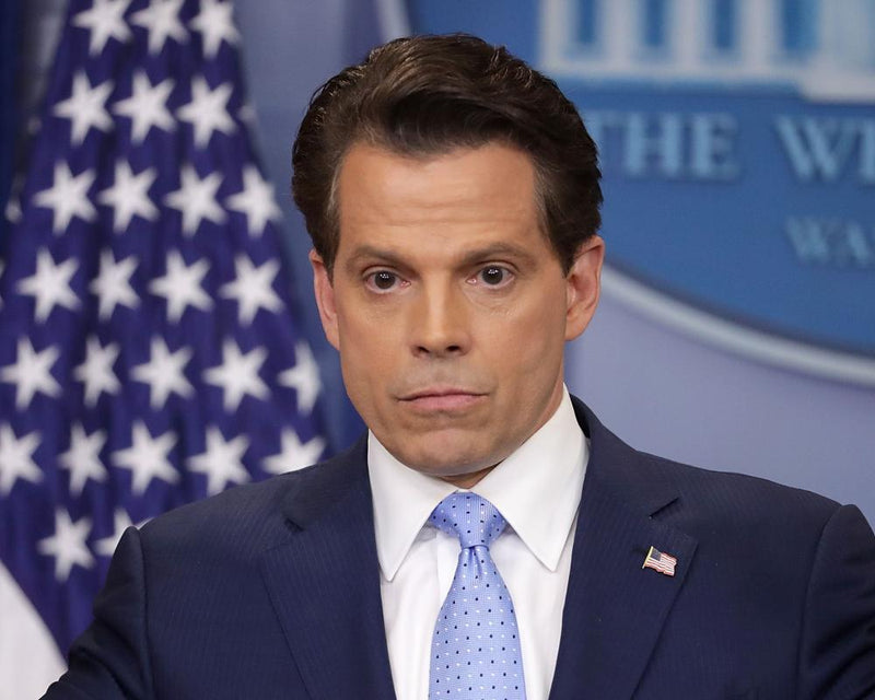 All the Wrong Moves Review: Scaramucci's Trump White House Confessions
