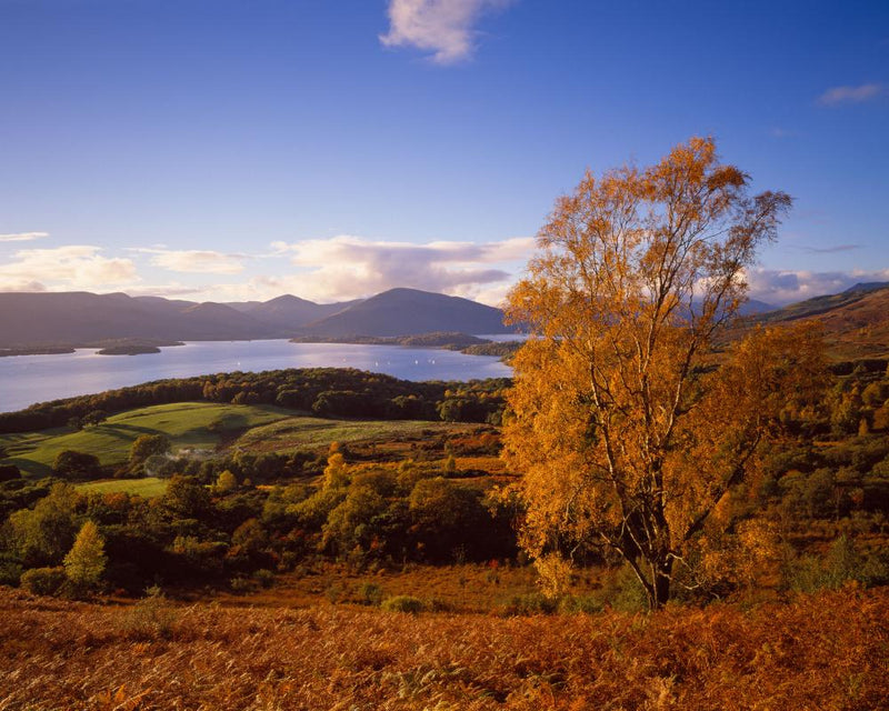 Autumn Day Out in the UK: Readers' Tips for a Golden Escape