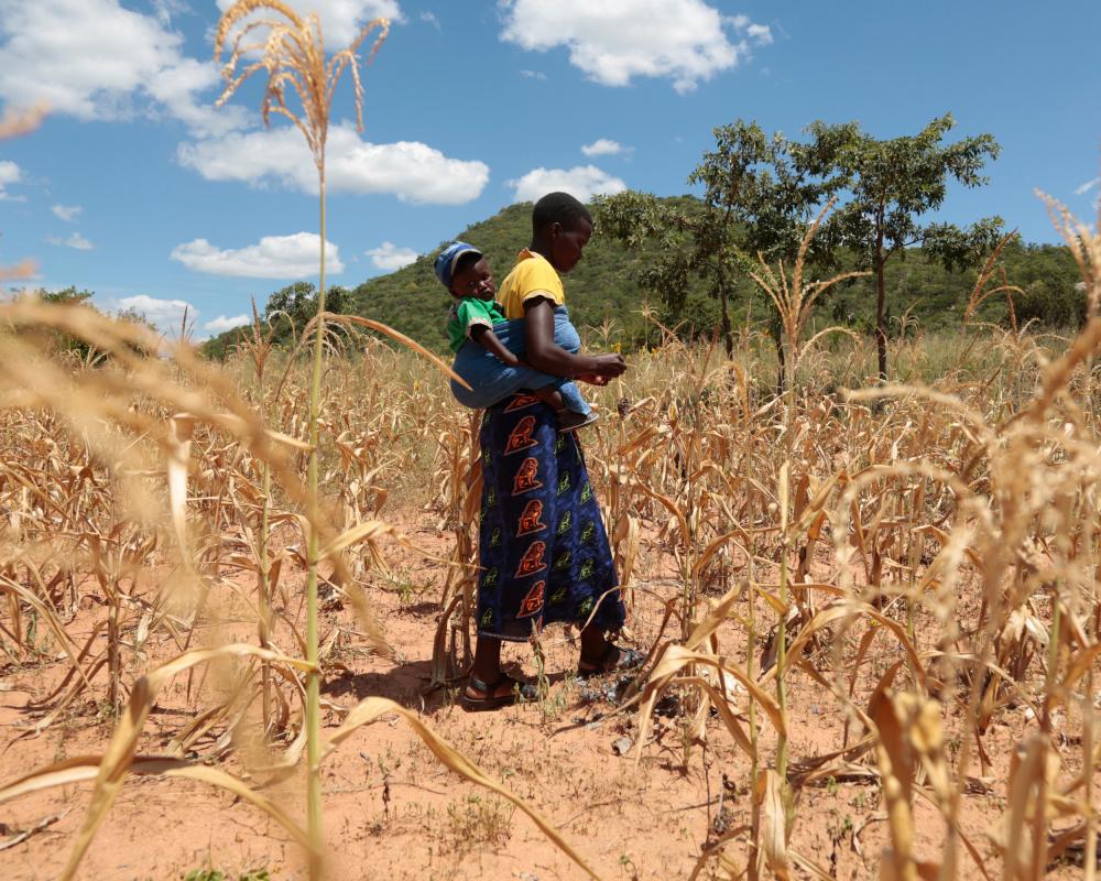 El Niño Hunger Crisis: 50 Million at Risk by 2025