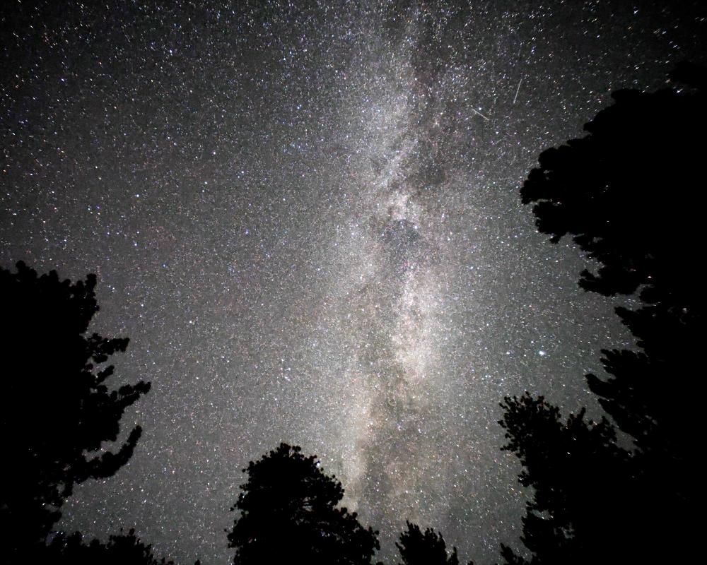 Dark Sky Movement: Light Pollution Steals Night Sky