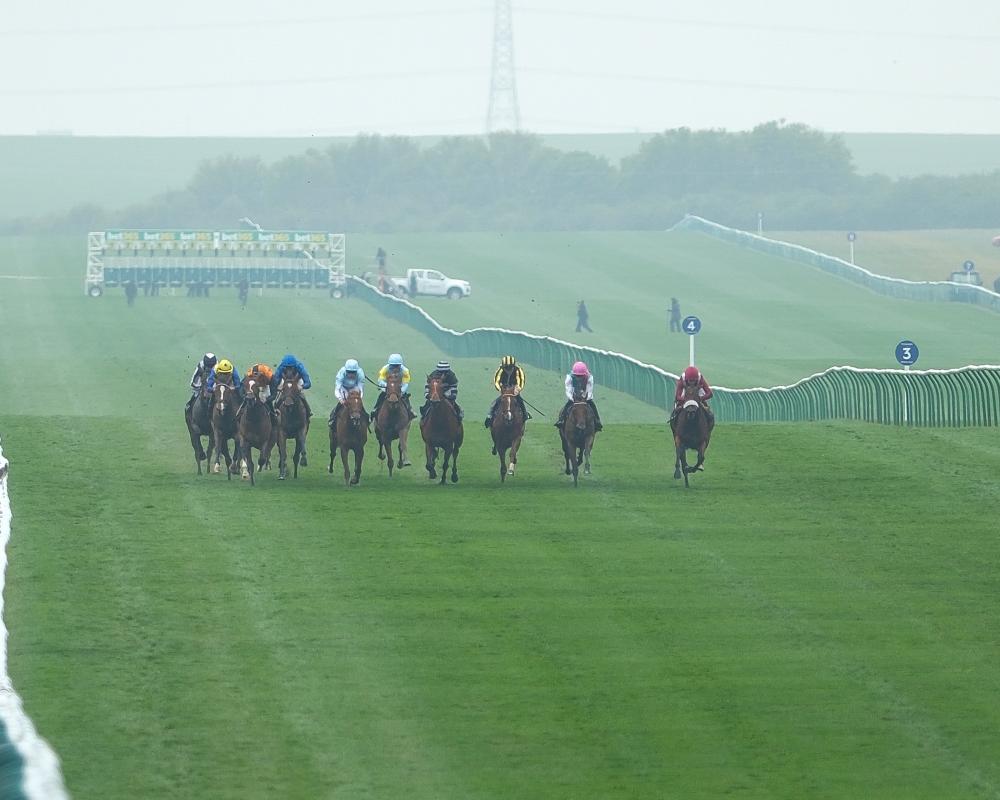 Future Champions Festival: Horse Racing Tips and Live Updates