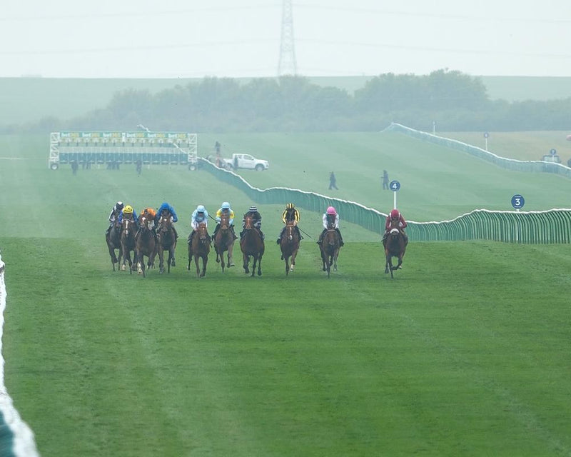 Future Champions Festival: Horse Racing Tips and Live Updates