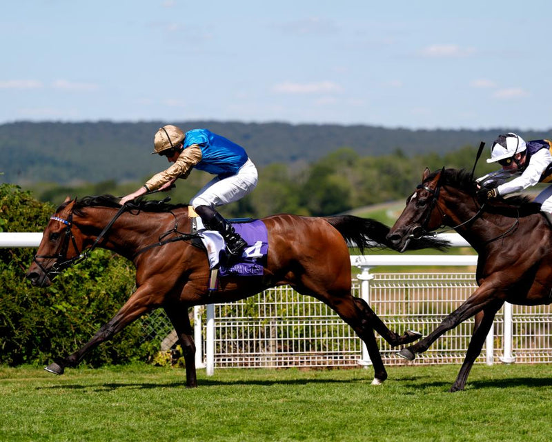Glorious Goodwood 2026: Stewards' Cup Final Day Live Updates