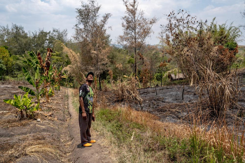 Papua New Guinea Drought: El Niño Crisis Dries Rivers and Farms