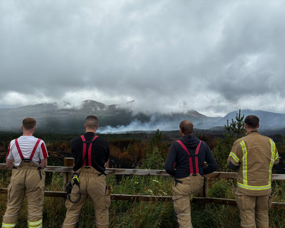 Cairngorms Wildfires: Cataclysmic Damage and Recovery Efforts