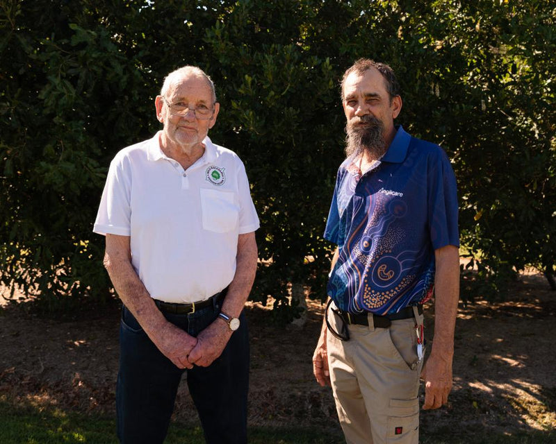 Queensland Macadamias: The Rainforest Key to Saving the World's Finest