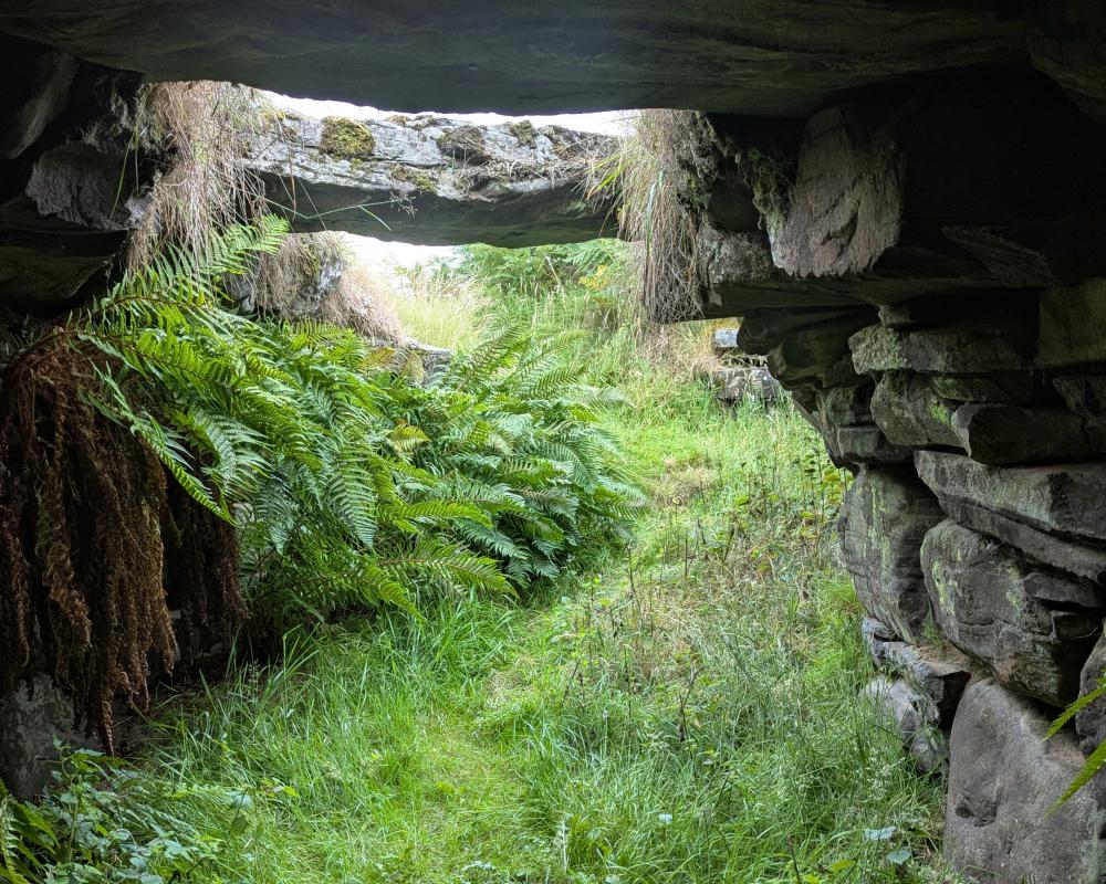 Raitts Cave: Scotland's Legendary Hideout of Mystery