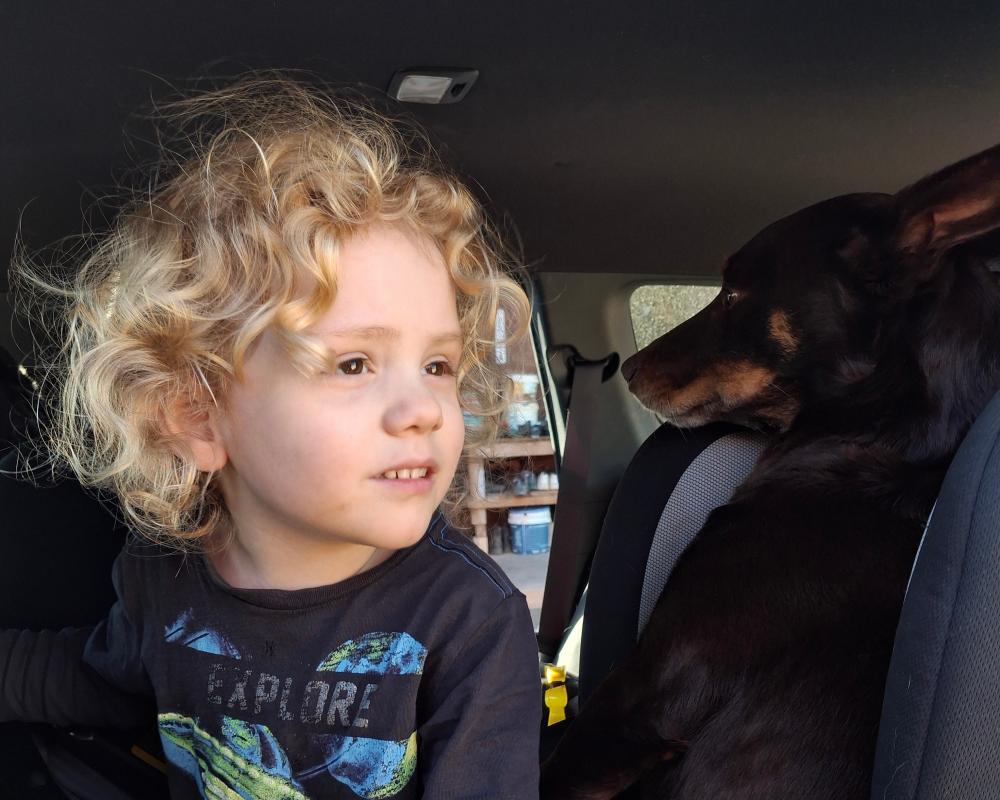 Gus Lamont Missing: $1M Reward in South Australia Case