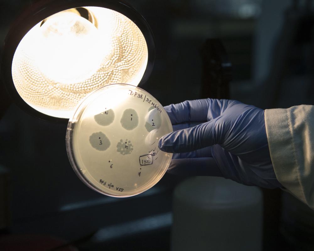 AI-Designed Viruses: Breakthrough Raises Safety Concerns