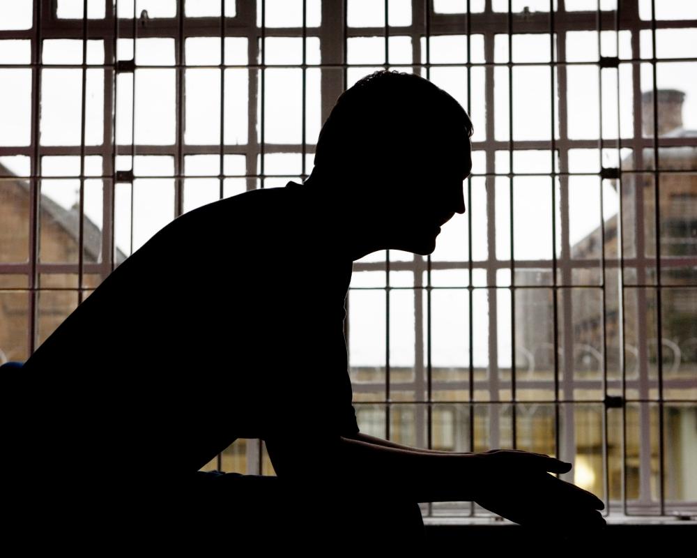 IPP Sentences Are Psychological Torture: Burnham's Review Misses