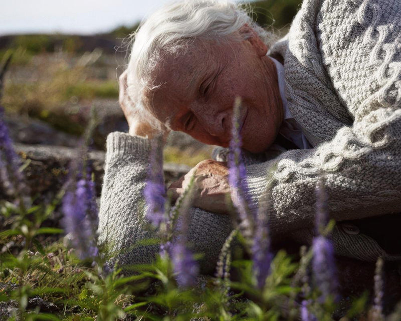 The Summer Book Review: Glenn Close Shines in Gentle Drama