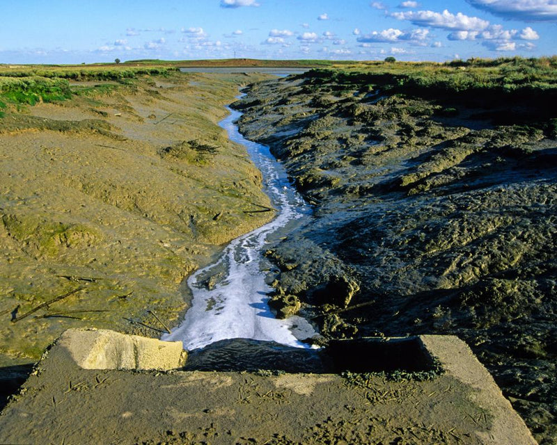 Dry Weather Sewage Discharges Soar Amid UK Water Scrutiny