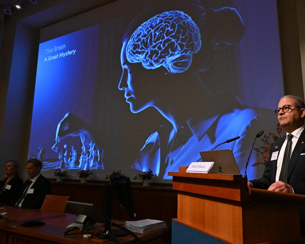 Nobel Prize in Medicine 2026 Awarded for Brain Research