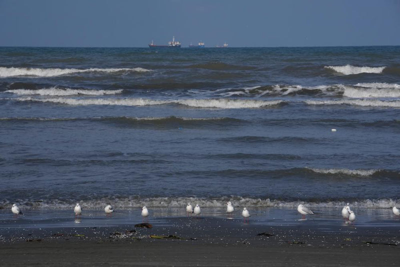 Iran Accuses Ukraine of Deadly Attack on Caspian Sea Vessel