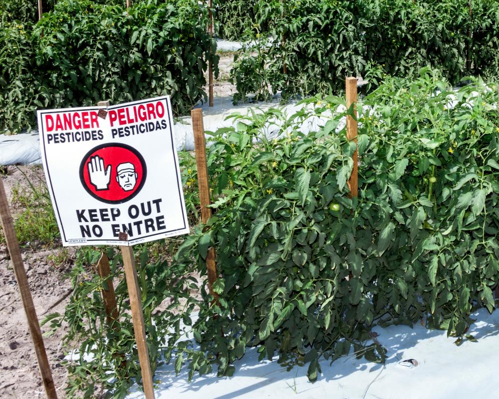 485 Pesticide Chemicals Linked to Breast Cancer Risk in US