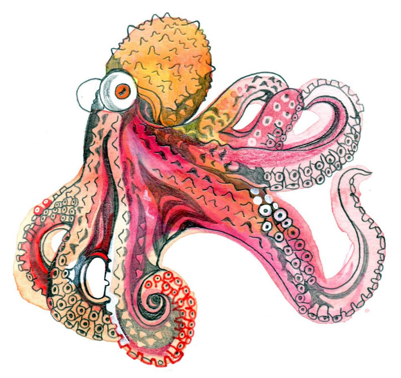 Octopus Blood Color and Sky Weight: Kids Quiz Answers