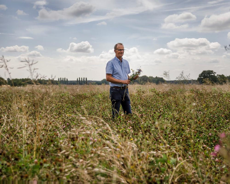 UK Vegetable Imports Surge as Drought and Heat Hit Crops