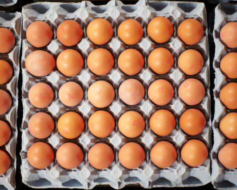 Salmonella Outbreak: Are Eggs Safe to Eat? Key Safety Facts