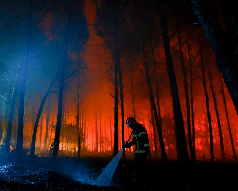 Wildfire Arrests in France: Climate Crisis and Legal Action