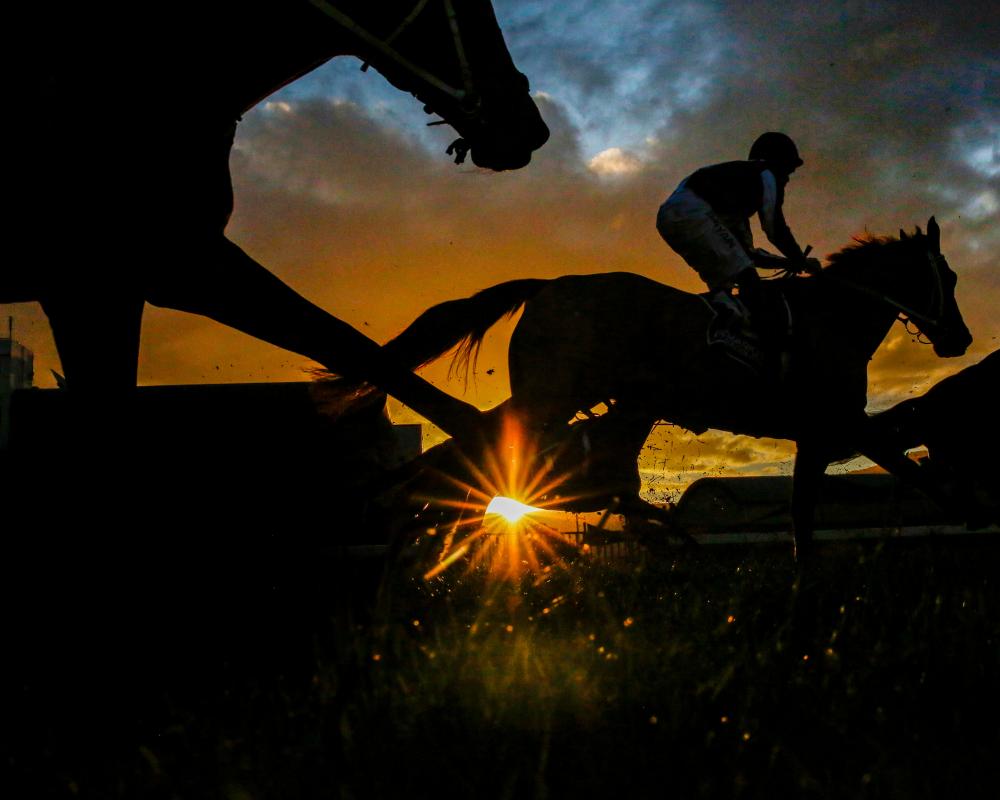US Jockey Club Orders Racehorse Austrian Painter Renamed Over Hitler