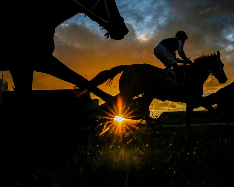 US Jockey Club Orders Racehorse Austrian Painter Renamed Over Hitler