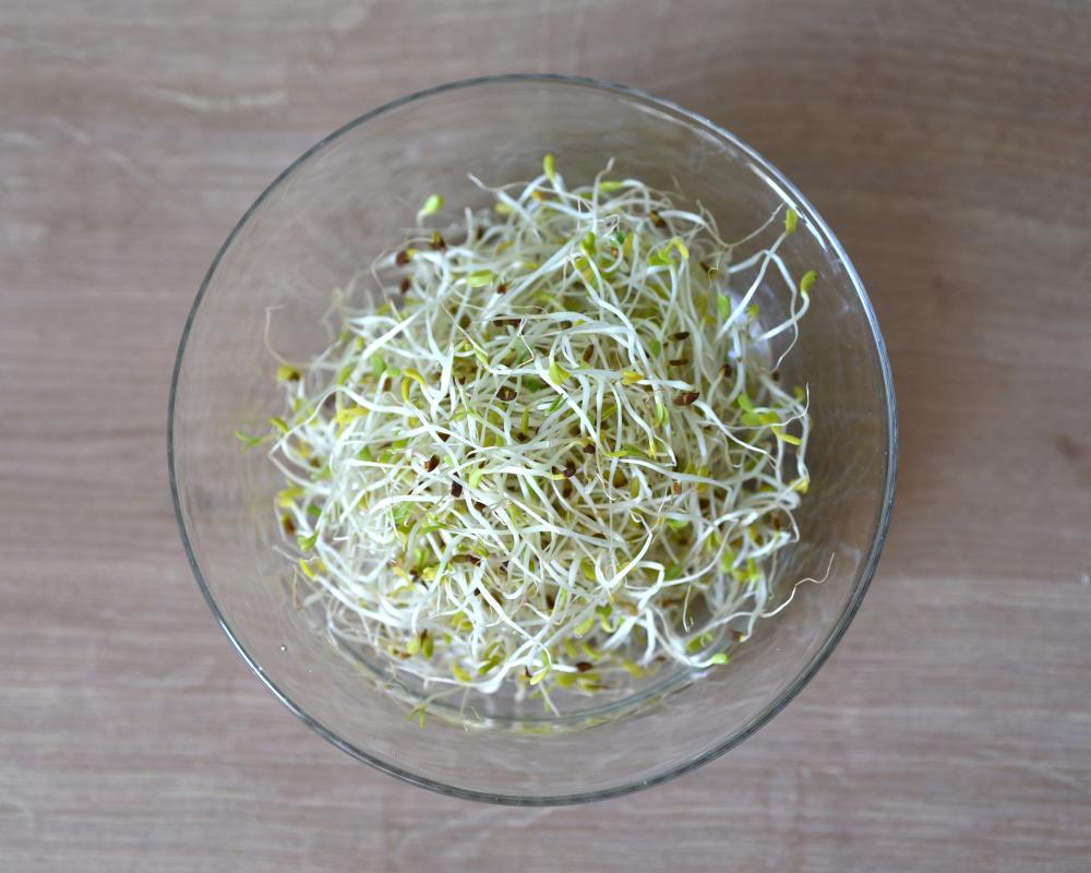 Alfalfa Sprouts Food Poisoning Outbreak Hits 15 States