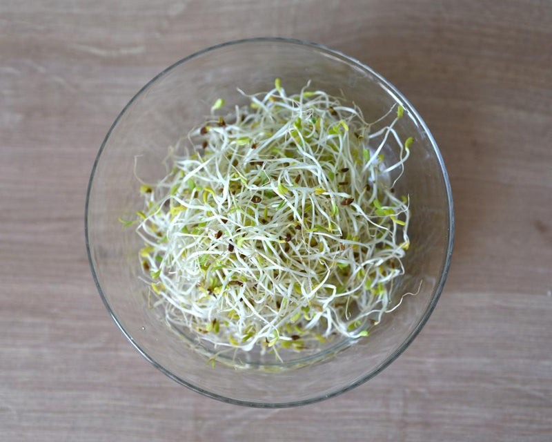 Alfalfa Sprouts Food Poisoning Outbreak Hits 15 States