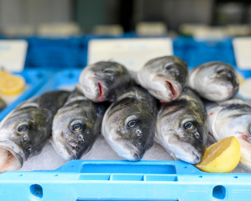 Sea Bass Name Debate: European Seabass, Branzino, or Loup de Mer