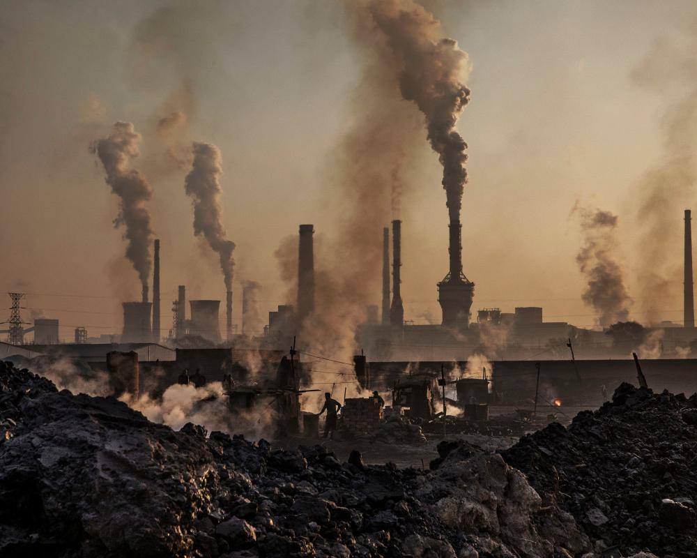 Climate Crisis and Spermageddon: Why Birthrates Are Plummeting