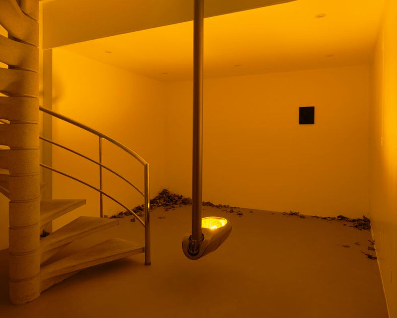 Prem Sahib Chamber Review: Master of Unease in Art