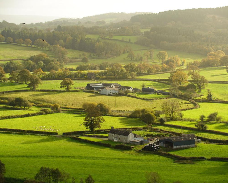 Land Registry Paywall Removal Delayed as Ownership Data Remains Opaque