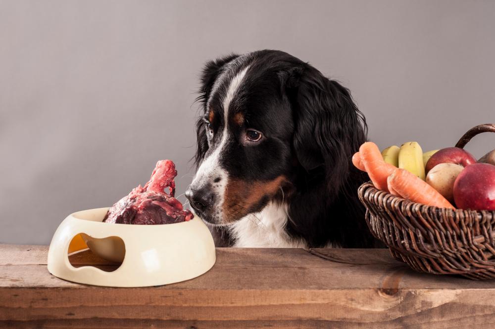 Vanished Beef Joint Mystery: A Dog's Tale and More
