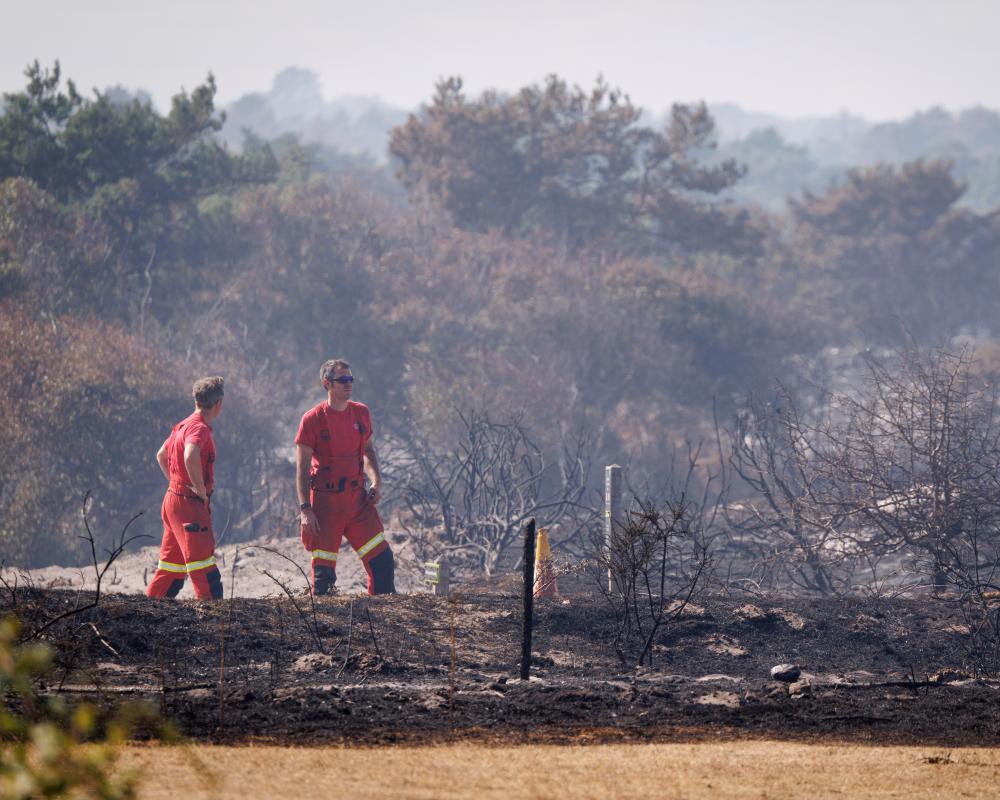 Wildfire Crisis: Why Firefighters Can't Handle It Alone