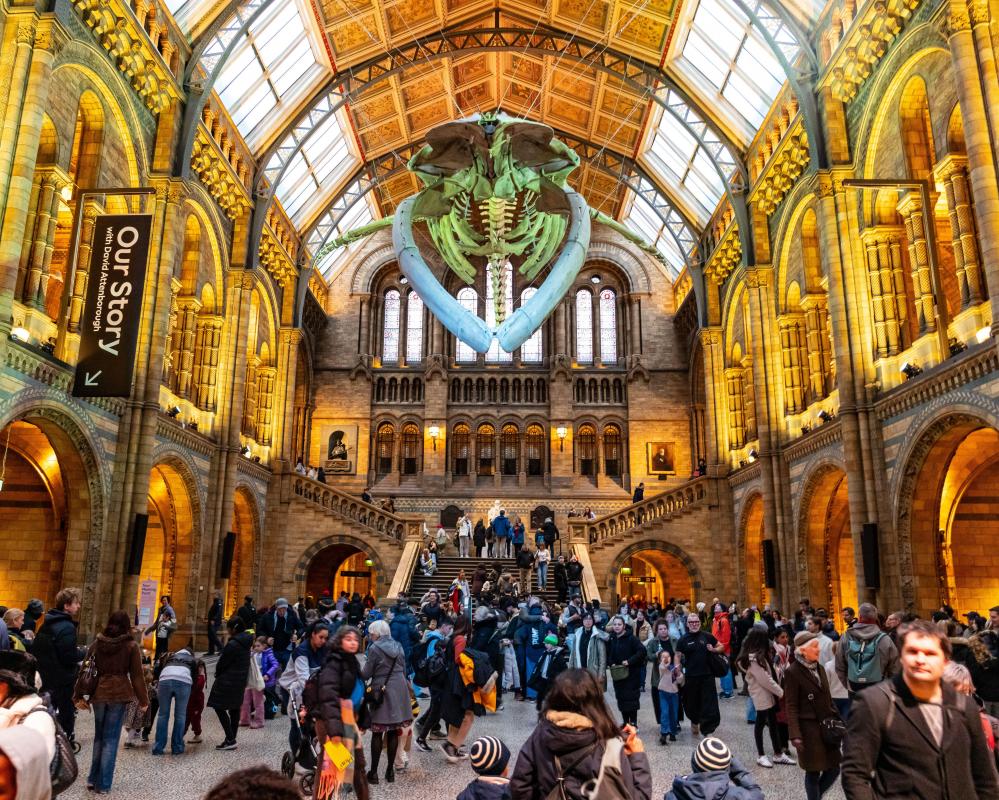 England's National Museums Stay Free for Overseas Visitors