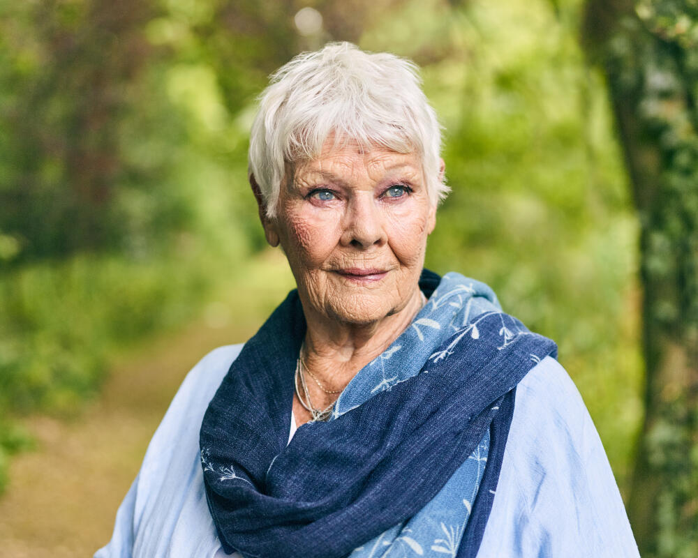 Judi Dench Says Sight Loss Ends Her Acting Career at 91
