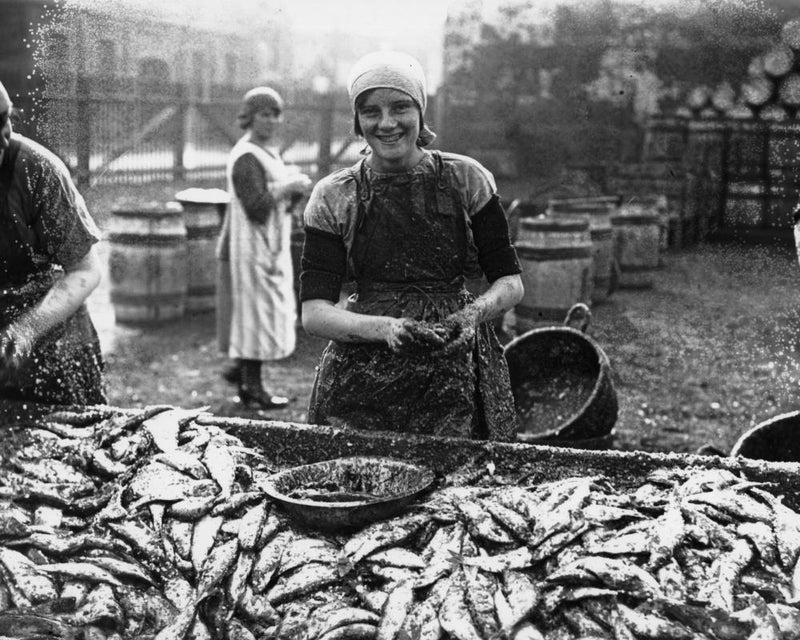 UK Seafood Recipes: How Tastes Narrowed Over a Century