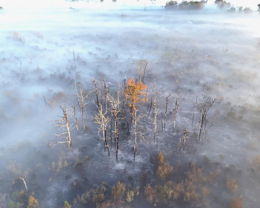 France and Spain Wildfires: Climate Alarm Blares as Heatwave Hits